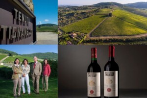 Il Tignanello di Antinori unico italiano tra i 10 vini pi&ugrave; desiderati al mondo, per Wine-Searcher