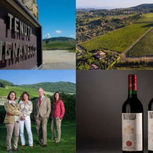 Il Tignanello di Antinori unico italiano tra i 10 vini pi&ugrave; desiderati al mondo, per Wine-Searcher
