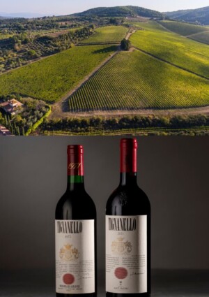 Il Tignanello di Antinori unico italiano tra i 10 vini pi&ugrave; desiderati al mondo, per Wine-Searcher