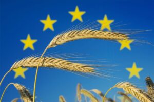 L&rsquo;export agroalimentare europeo nel 2025 ha raggiunto i 238,2 miliardi di euro (+1,6%)