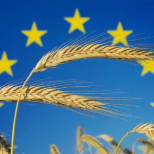 L&rsquo;export agroalimentare europeo nel 2025 ha raggiunto i 238,2 miliardi di euro (+1,6%)