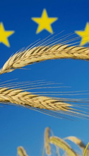 L&rsquo;export agroalimentare europeo nel 2025 ha raggiunto i 238,2 miliardi di euro (+1,6%)