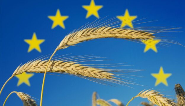 L&rsquo;export agroalimentare europeo nel 2025 ha raggiunto i 238,2 miliardi di euro (+1,6%)