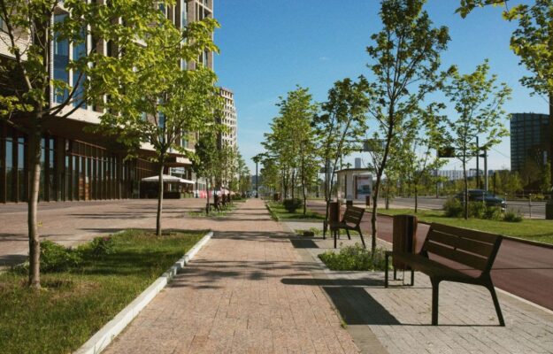 ALBERI, CALDO, CAMBIAMENTO CLIMATICO, CNR, Coldiretti, TEMPERATURA, VERDE URBANO, Non Solo Vino