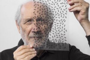 Emilio Isgr&ograve; svela le etichette &ldquo;cancellate&rdquo; di Tenute Orestiadi al Piccolo Teatro di Milano