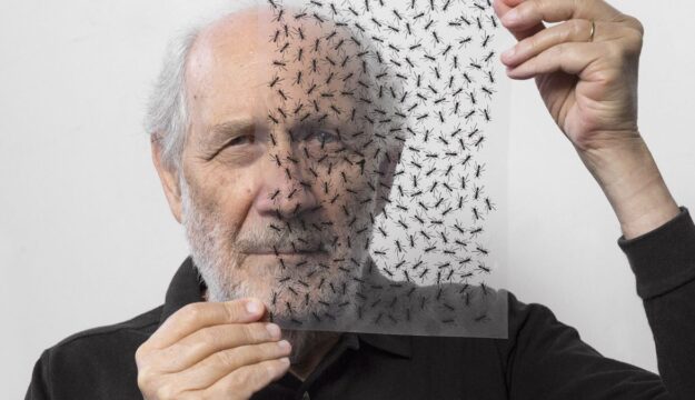 Emilio Isgr&ograve; svela le etichette &ldquo;cancellate&rdquo; di Tenute Orestiadi al Piccolo Teatro di Milano