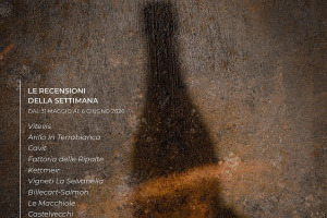 I Vini di WineNews - N. 417