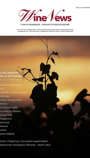 I Vini di WineNews
