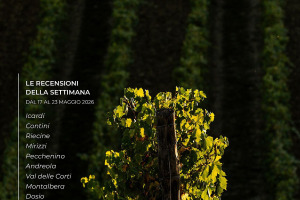 I Vini di WineNews - N. 415