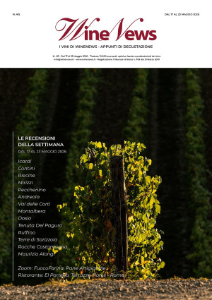 I Vini di WineNews - N. 415