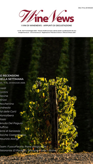 I Vini di WineNews