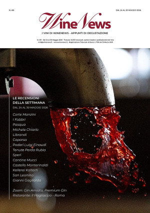 I Vini di WineNews - N. 416