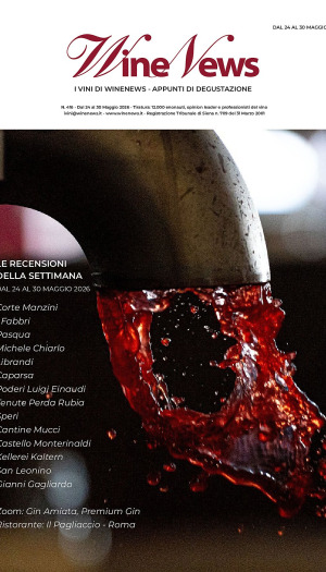 I Vini di WineNews