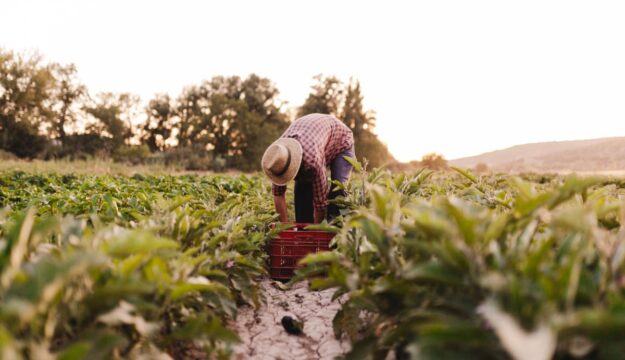 Pi&ugrave; valore alla figura dell&rsquo;agricoltore anche grazie a contratti equi: l&rsquo;assist del Consiglio Ue