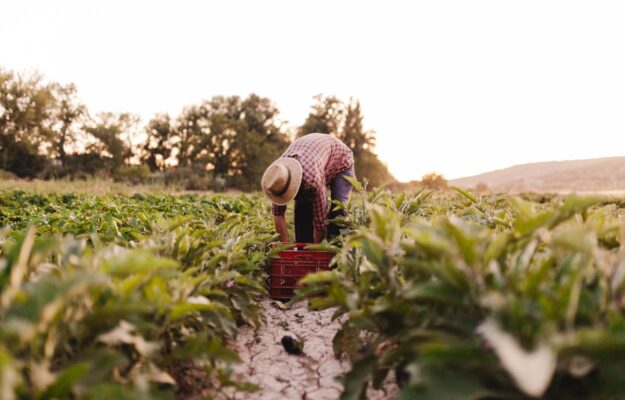 AGRICOLTORI, AGRICOLTURA, CATENA DI APPROVVIGIONAMENTO, CONSIGLIO UE, Europa, Non Solo Vino