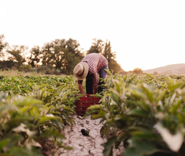 Pi&ugrave; valore alla figura dell&rsquo;agricoltore anche grazie a contratti equi: l&rsquo;assist del Consiglio Ue