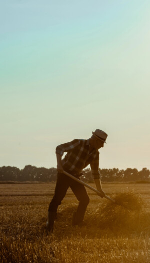 Caldo eccezionale, dal Consiglio dei Ministri ok per lo stop al lavoro nello ore pi&ugrave; torride