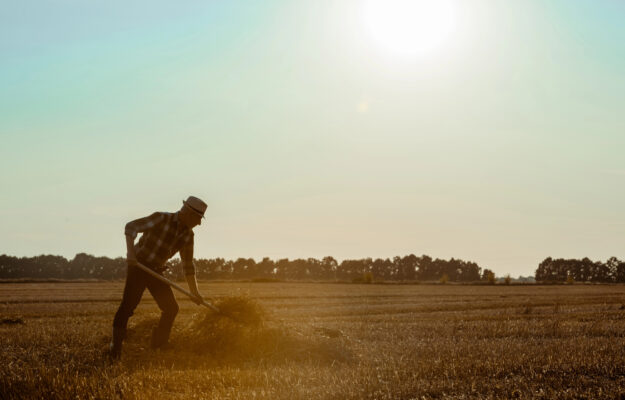 AGRICOLTURA, CAMPAGNE, Coldiretti, CONSIGLIO DEI MINISTRI, DECRETO, LAVORO, Non Solo Vino
