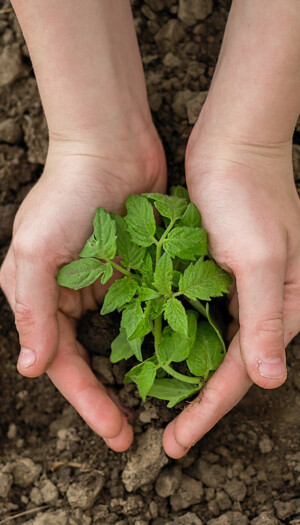 Caro-fertilizzanti, gli agricoltori italiani chiedono l&rsquo;attuazione immediata delle misure Ue