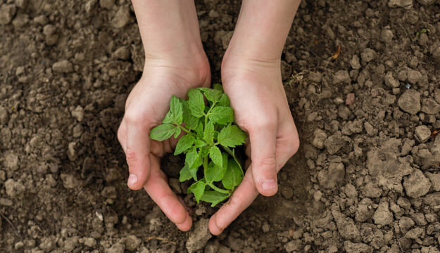 Crisi fertilizzanti e sostegno economico dell&rsquo;Ue, il Wwf: &ldquo;altra occasione persa per l&rsquo;agroecologia&rdquo;