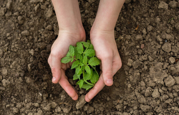 AGROECOLOGIA, FERTILIZZANTI, POLITICA AGRICOLA COMUNE, STRETTO DI HORMUZ, UNIONE EUROPEA, WWF ITALIA, Non Solo Vino