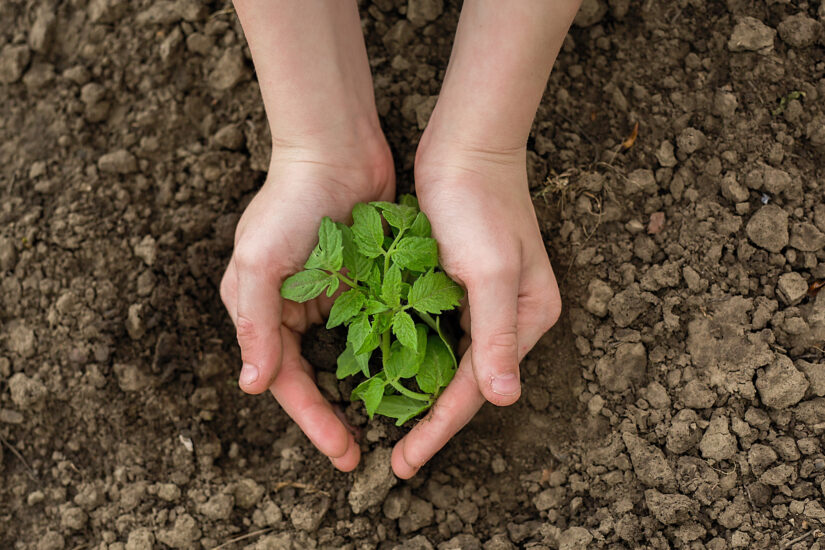 Secondo il Wwf la crisi dei fertilizzanti è stata un’occasione persa per l’agroecologia