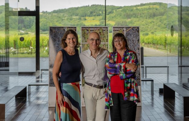 Wine patrons: Antinori acquires artwork Sampling the Vineyard by artist Armin Linke