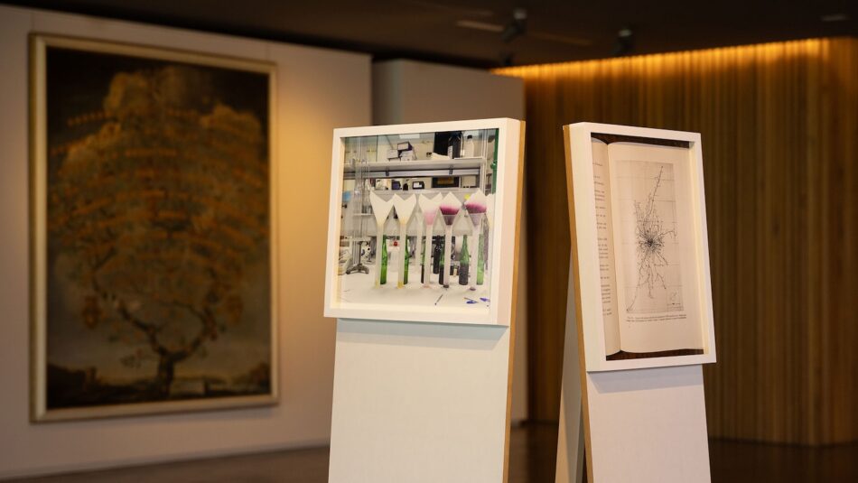 Armin Linke per “Antinori Art Project”