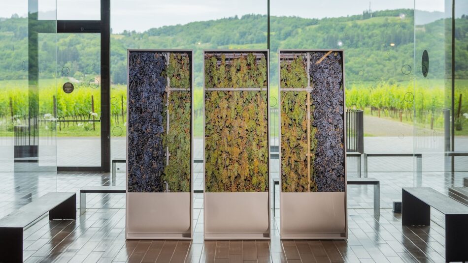 Armin Linke per “Antinori Art Project”