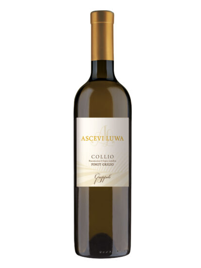 Su i Vini di WineNews