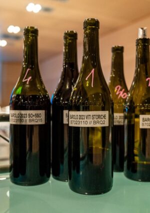&ldquo;Barolo en primeur 2026&rdquo;: al centro la vendemmia 2025 di Vigna Gustava, &ldquo;fresca e fedele al terroir&rdquo;