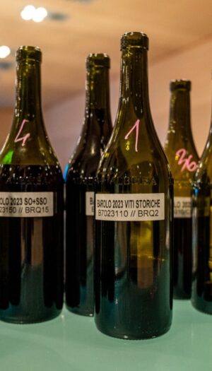 &ldquo;Barolo en primeur 2026&rdquo;: al centro la vendemmia 2025 di Vigna Gustava, &ldquo;fresca e fedele al terroir&rdquo;