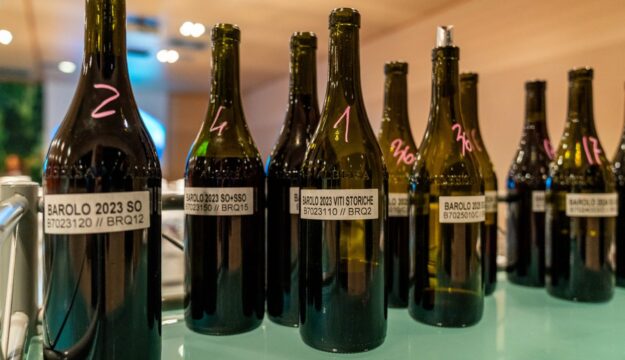 &ldquo;Barolo en primeur 2026&rdquo;: al centro la vendemmia 2025 di Vigna Gustava, &ldquo;fresca e fedele al terroir&rdquo;