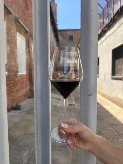 La cultura del vino entra come materia di formazione in carcere