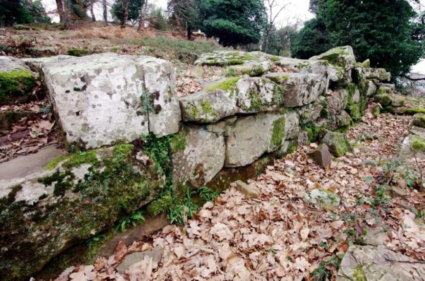 L’area archeologica (ph: Badia a Coltibuono)