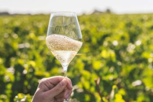 Prove di partnership tra Pommery ed Henkell per dare vita ad un gigante mondiale delle bollicine