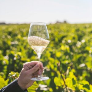 Prove di partnership tra Pommery ed Henkell per dare vita ad un gigante mondiale delle bollicine