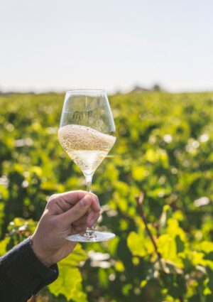 Prove di partnership tra Pommery ed Henkell per dare vita ad un gigante mondiale delle bollicine