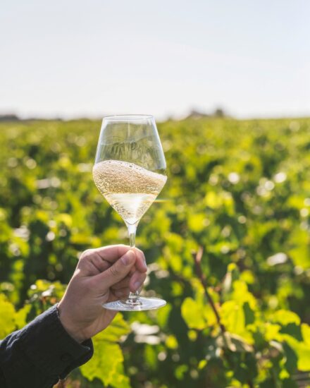 Lo Champagne Pommery (credit: Facebook/Champagne Pommery)