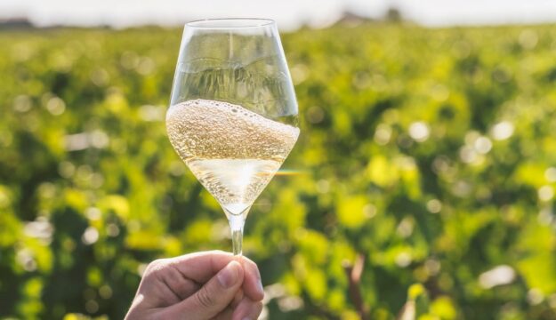 Prove di partnership tra Pommery ed Henkell per dare vita ad un gigante mondiale delle bollicine