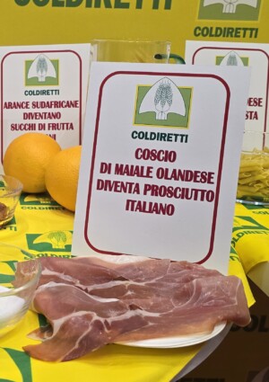 La cucina italiana promossa in Usa, ma dove l&rsquo;Italian Sounding costa 40 miliardi di euro