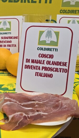 La cucina italiana promossa in Usa, ma dove l&rsquo;Italian Sounding costa 40 miliardi di euro