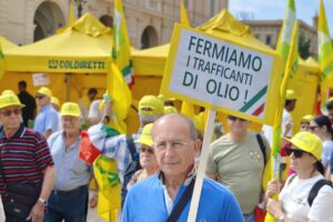 Bari, 1.000 olivicoltori in piazza contro i &ldquo;trafficanti&rdquo; di olio: &ldquo;serve una riforma della filiera&rdquo;