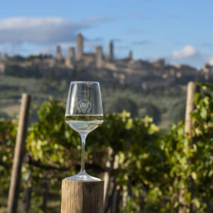 750 anni di Vernaccia in parole, da Dante a Mario Soldati, nei calici e nel futuro di San Gimignano