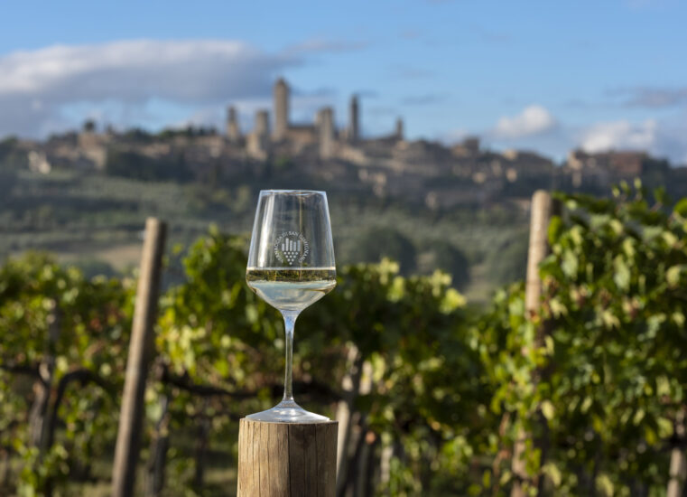 Consorzio Vernaccia San Gimignano - Bicchiere in vigna con le torri sullo sfondo