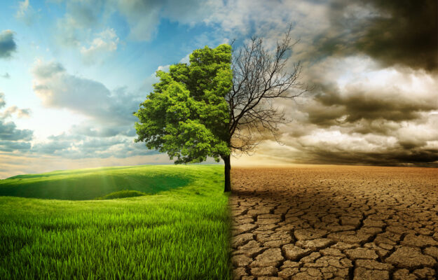 Coldiretti, CONSUMO DI SUOLO, DESERTIFICAZIONE, PASCOLI, PRATI, TERRE ALTE, Non Solo Vino