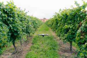 27 milioni di euro per la ricerca e la vitivinicoltura del futuro, con il Wine Research Team