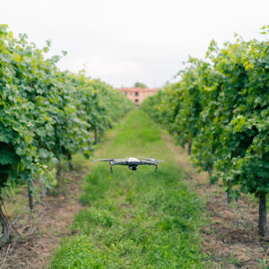 27 milioni di euro per la ricerca e la vitivinicoltura del futuro, con il Wine Research Team