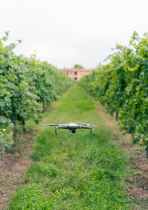 27 milioni di euro per la ricerca e la vitivinicoltura del futuro, con il Wine Research Team