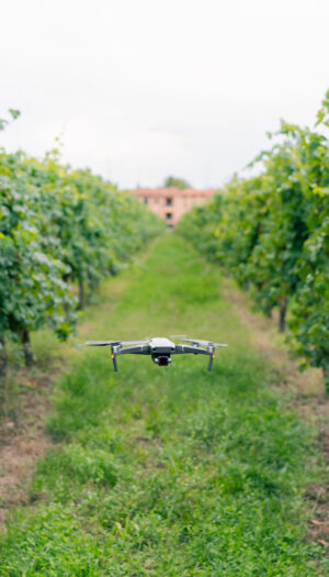 27 milioni di euro per la ricerca e la vitivinicoltura del futuro, con il Wine Research Team